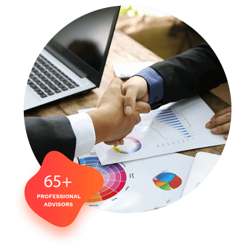 65+ Professional Advisors in TaskVirtual.com