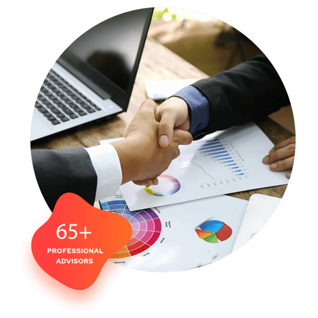 65+ Professional Advisors in TaskVirtual.com